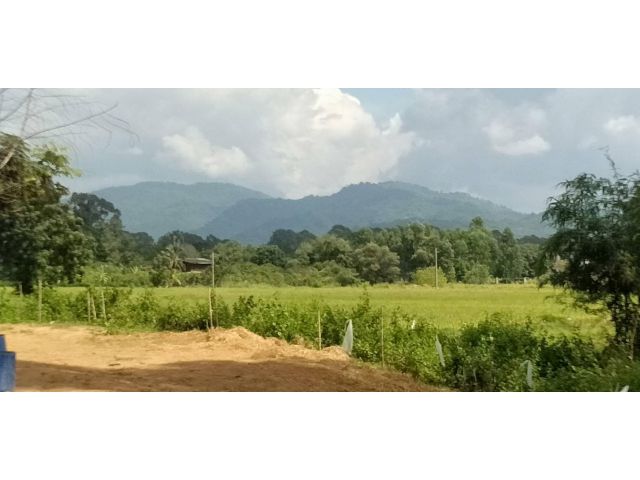 ที่ดิน อ.บ้านนา 50ไร่เศษ ตำบลป่าขะ จังหวัดนครนายก ที่นา ติดถนน ติดคลอง