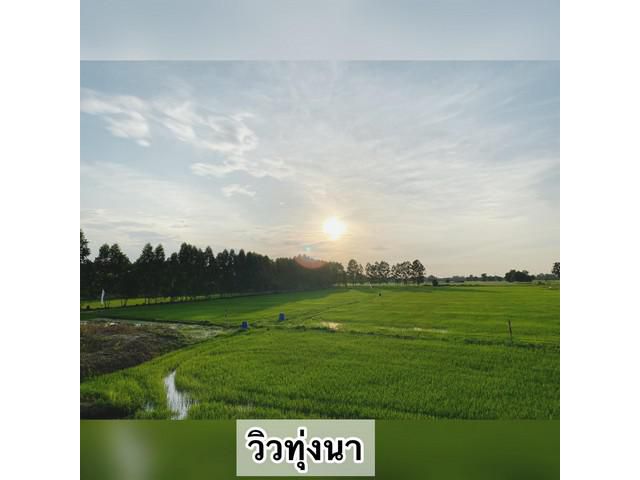 ที่ดิน 5ไร่ 2.25ลบ.ต.บ้านพริก อ.บ้านนา นครนายก