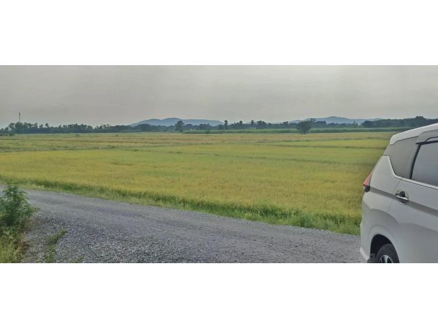 ขายที่ดินวิวเขาสวยท้องทุ่ง **น้ำไม่ท่วม  บรรยากาศดีอากาศบริสุทธิ์ เหมาะสร้างบ้านสวนปลูกผักทำเกษตรผสมผสาน (ฉ.ครุฑแดง)