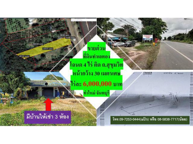 #ขายที่ดิน #บ้านให้เช่า 3 ห้อง #โฉนด 4 ไร่ #พิกัด เขาบายศรี #ท่าใหม่ #จันทบุรี #ไร่ละ 6 ล้าน