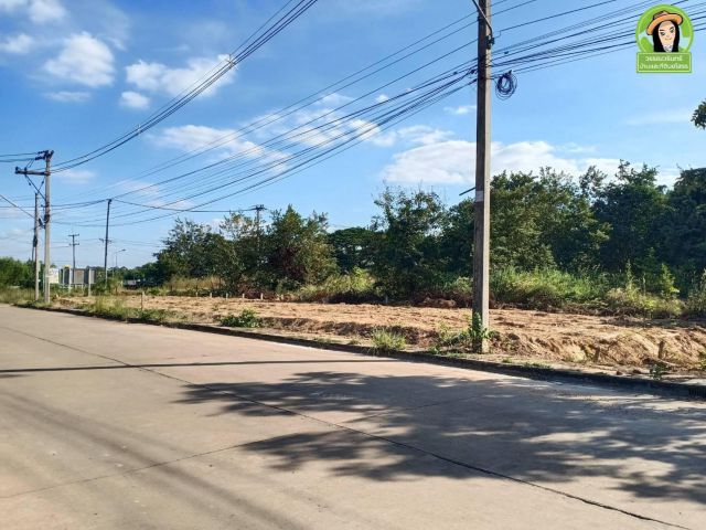 ที่ดินสร้างบ้าน ทางเข้าบ้านเอื้อตาดทอง/ยโสธร