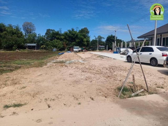 ที่ดินสร้างบ้าน พิกัดบ้านสว่างเชียงหวาง/ยโสธร 250,000 บาท