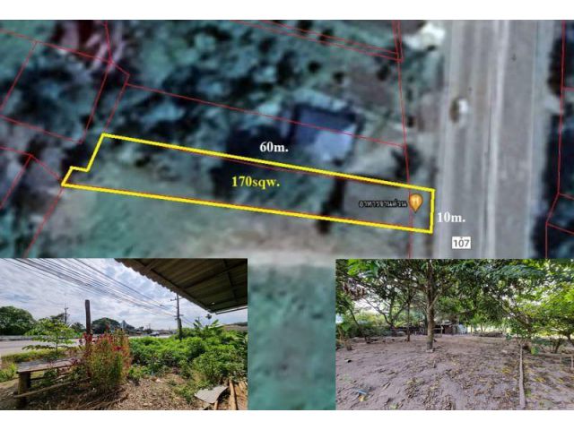 ขายที่ดินแม่ริม #ติดถนนใหญ่(107)เชียงใหม่-ฝาง เนื้อที่ 170 ตร.ว. #ขายด่วน ราคาขาย 3.5 ล้าน