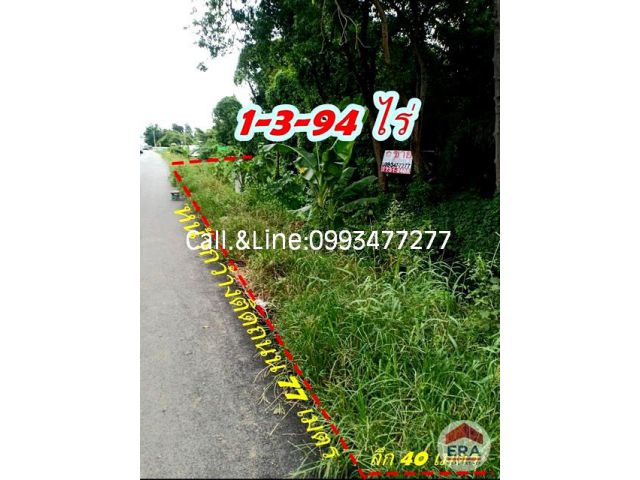 ที่ดิน 1-3-94 ไร่ ซอยจรัญสนิทวงศ์35