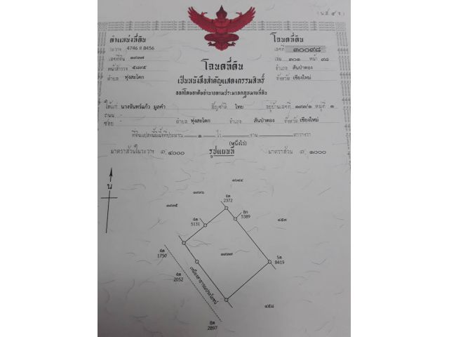 ขาย ที่ดิน 1 ไร่ เจ้าของขายเอง สันป่าตอง เชียงใหม่