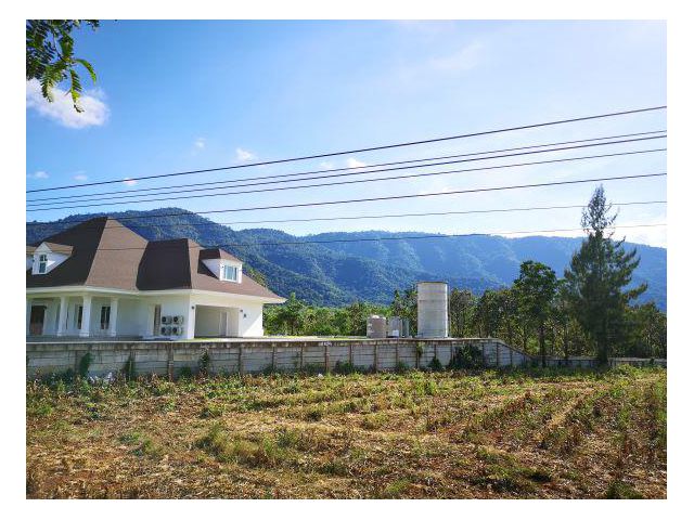 ขายที่ดิน 344 วา , 360 วา , 1 ไร่ , 2-2-40 ไร่  วิวสวยๆวิวเขาใหญ่อลังการ มีเพียง 4 แปลง พร้อมปลูกบ้าน ขายราคาวาละ 17,000
