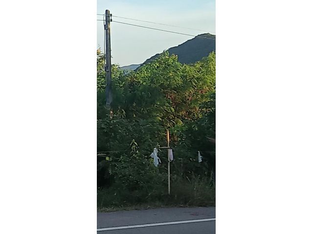 ขายที่ดิน นส 3 ก. 194 ไร่ ติดถนนหลวง บนเนิน ชายเขา วิวสวย