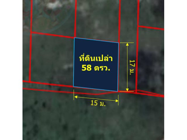 ขายที่ดินเปล่าถมแล้ว 58 ตรว. (ต.ดอนแก้ว อ.แม่ริม )