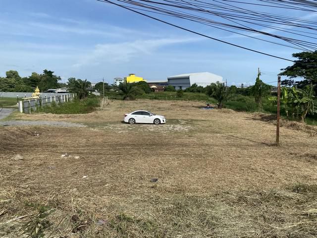 ขายที่ดินถมแล้วติดถนน คลองส่งน้ำสุวรรณภูมิ บางพลี
