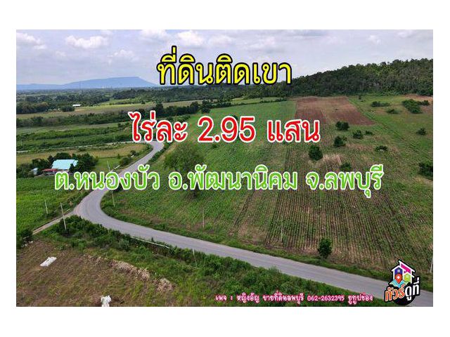 ขายที่ดินติดวิวเขา เนินสูง ต.หนองบัว อ.พัฒนานิคม  จ.ลพบุรี