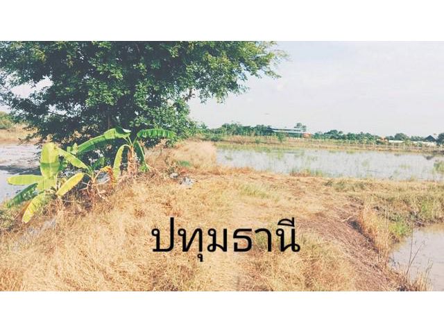 ทรัพย์ดีรอเจ้าของ  จ.ปทุมธานี5ไร่.0837124115