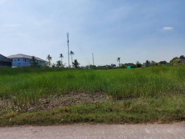 ขายที่ดินทุ่งครุ-วงแหวน-ประชาอุทิศ  เนื้อที 2 ไร่ หน้ากว้าง 60 เมตร เพียง ตร.วา ละ 22,500 บาท  ใกล้ รร.สวนกุหลาบฯ ธนบุรี