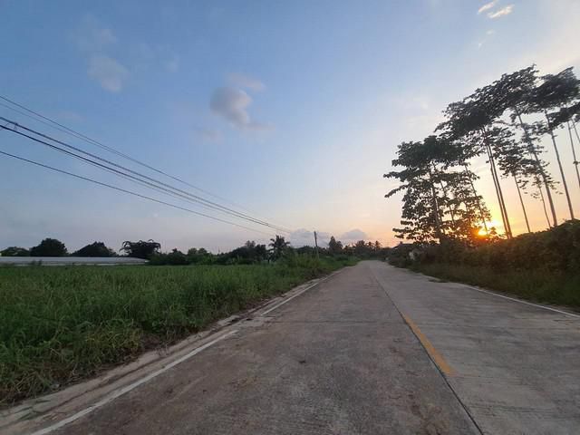 ขายที่ดินตัวเมืองบ่อทอง16ไร่เหมาะทำหมู่บ้านจัดสรรติดถ. คอนกรีตกว้าง 10 เมตรมีท่อระบายน้ำราคาถูก จ.ชลบุรี