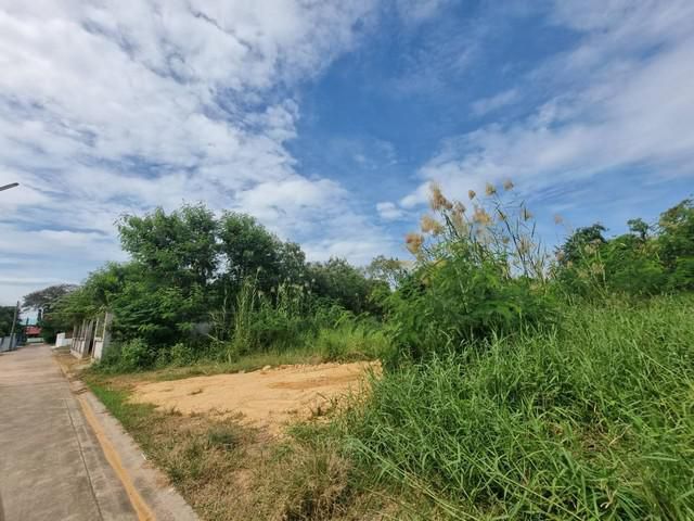 ขายที่ดินถมแล้วในเมืองแปดริ้ว 124 ตรว. ซอยลิเก ใกล้โฮมโปรฉะเชิงเทรา - 500 เมตร จ. ฉะเชิงเทรา