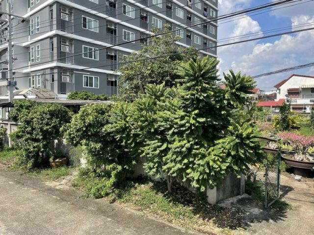 ขายที่ดิน209ตร.ว. พื้นที่สีส้ม ซอยอ่อนนุช14