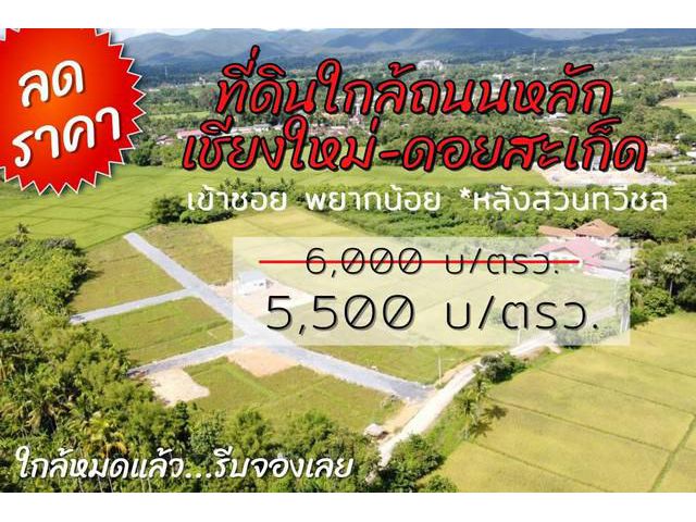 ที่ดินเริ่ม 94.2ตรว.518สบ.หนองแหย่ง สันทราย ชม.