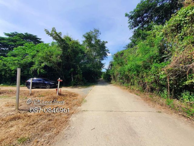 ขายถูก 5,000/ตรว. ที่ดินใกล้เมือง บ้านสันไร่สันกำแพง หลังการประปาสันกำแพง
