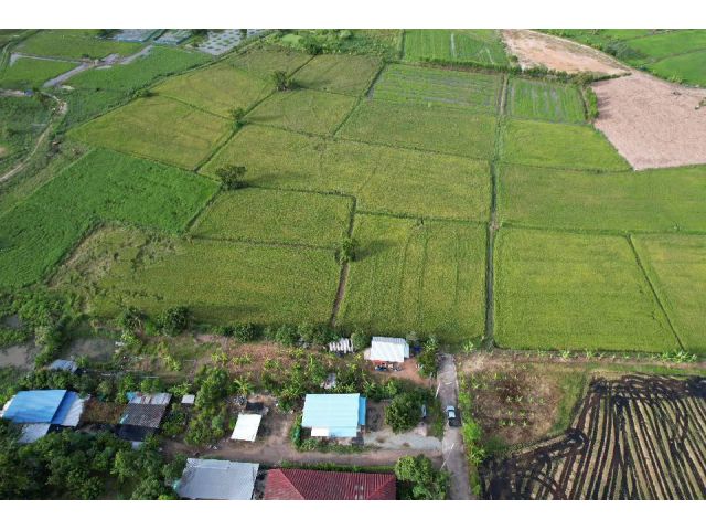 ขายที่นาศรีราชา 4 ไร่ หลังเครือสหพัฒน์ ติดถ. คอนกรีต ใกล้ท่าเรือแหลมฉบัง - 8 กม. จ. ชลบุรี