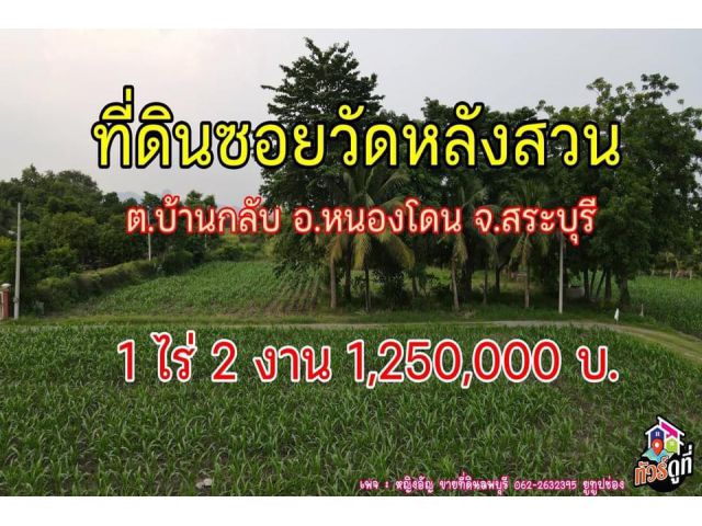ที่ดินเหมาะปลูกบ้านสระบุรี