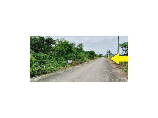 ขายที่ดินติดถนนคอนกรีต หนองโรง สระบุรี