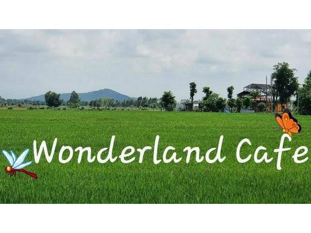 ขายกิจการ Wonderland cafe