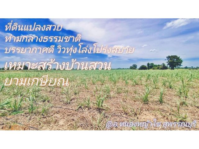 ขายที่ดินสวย บรรยกาศดีมากเหมาะสร้างบ้านสวนยามเกษียณ ฉ.ครุฑแดงพร้อมโอน