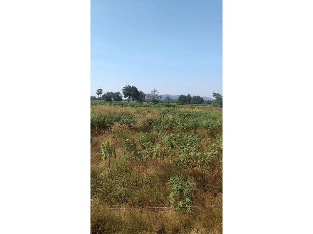 ขายที่ดิน เฟส ที่ 29-35 อำเภอหันคา จัดหวัดชัยนาท