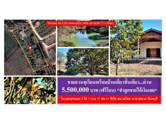 #ขายด่วน #สวนทุเรียนหมอนทอง #บ้าน 1 หลัง #ยกแปลง 5.5 ล้านบาท #โฉนด 3 ไร่เศษ #พิกัด #สนามไชย #นายายอาม #จันทบุรี #Durian