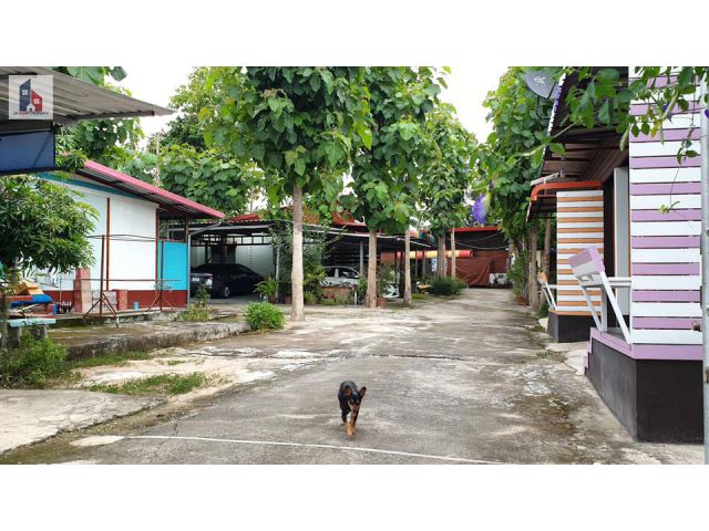 ขายบ้านเช่า และห้องแถว บรรยากาศร่มรื่น อยู่ใจกลางแหล่งชุมชน และอยู่ใกล้ตัวเมืองดอยสะเก็ด จ.เชียงใหม่