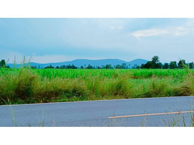 ขายที่ดินวิวเขาสวย ใกล้วัดเขาดีสลัก ทำเลดีติดลาดยางเหมาะสร้างบ้านสวนยามเกษียณ น้ำไฟพร้อม ครุฑแดง