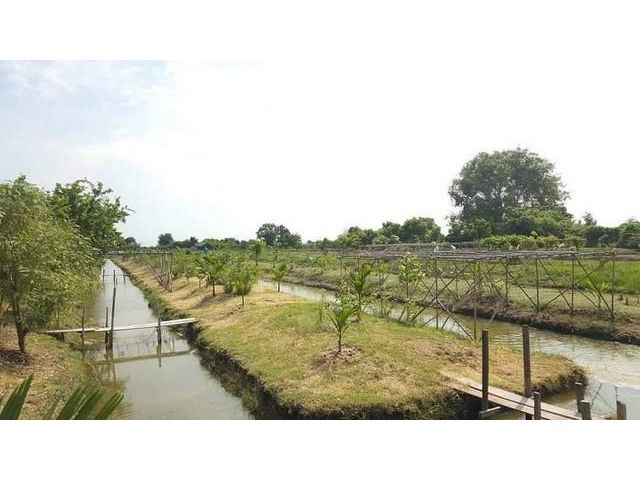 ขายที่ดิน บางนา ตราด บางปะกง ฉะเชิงเทรา