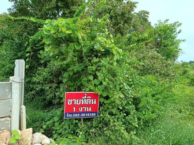 ขายที่ดินจัดสรร 1 งาน ใกล้บายพาส-ตลาดศรีเมือง ซ.วาสนาดี อ.เมืองราชบุรี จ.ราชบุรี
