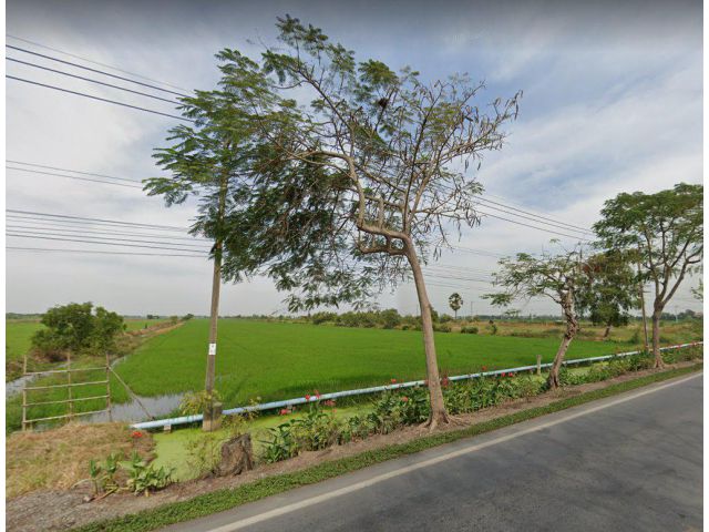ขายที่ดินหนองจอก 46 ไร่ ติดถนนผดุงพันธ์ ติดลำราง ใกล้ตลาดหนองจอก - 3 กม. กรุงเทพฯ