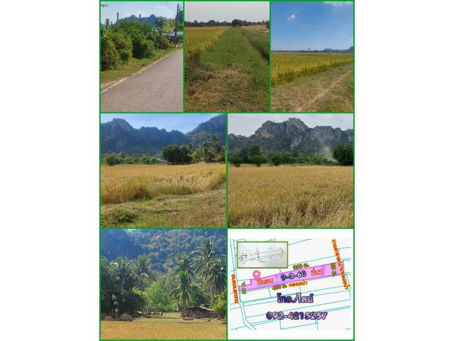 ขายที่ดิน วิวภูเขา-ทุ่งนาสวย ติดถนนลาดยาง อ.ปากท่อ จ.ราชบุรี