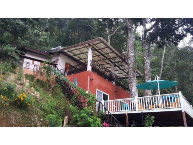 GH-004 ขายรีสอร์ท(บ้านม่อนเมี่ยง แม่กำปอง) พร้อมที่ดิน 16  ไร่  ต.ห้วยแก้ว  อ.แม่ออน  จ.เชียงใหม่