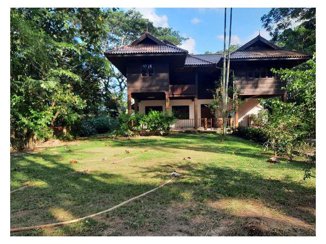 โซนสารภี  บ้านไม้สองชั้น พร้อมที่ดิน 250ตรว  สารภี 6 ล้าน