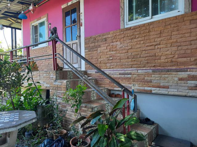 โซนหางดง   บ้าน 160 ตรว 2.5 ล้าน