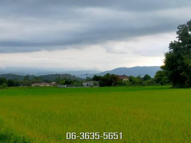 ขายที่สวยวิวเขา ต.สาริกา อ.เมืองนครนายก
