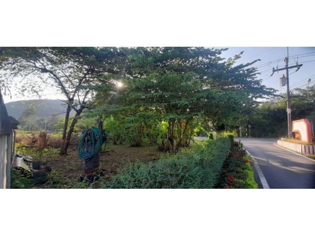 ขายที่ติดถนนทำเลดีพลูตาหลวง 40ตรว.ตรว.ละ27,000 บาท ต.พลูตาหลวง อ.สัตหีบ จ.ชลบุรี