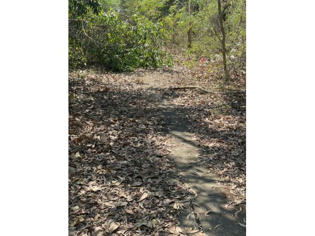 PK38ขายที่ดิน 2 ไร่ คลองสอง คลองหลวง ปทุมธานี(ซอยสำนักวิปัสสนา ดำรงธรรม) คลองสอง