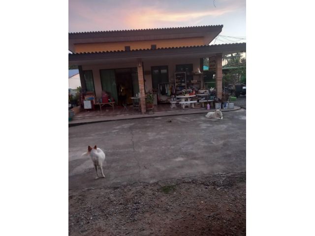 ขายบ้านเดี่ยวหนองคล้าเก่า  อำเภอศรีราชา