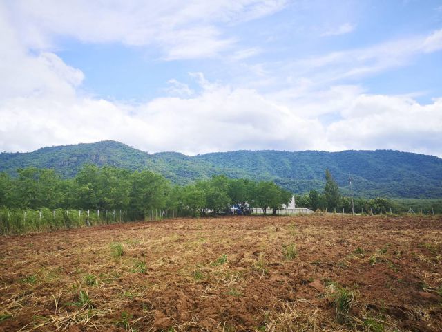 ขายที่ดิน 344 วา , 360 วา , 1 ไร่ , 2-2-40 ไร่  วิวสวยๆวิวเขาใหญ่อลังการ มีเพียง 4 แปลง ขายราคาละ 17,000-20,000 บาท