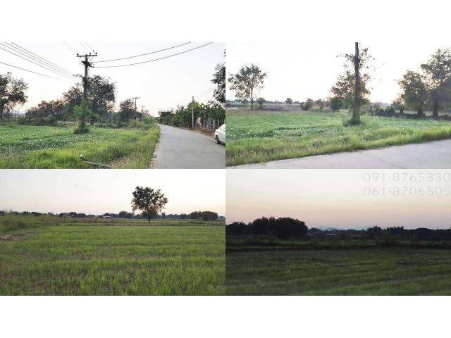 ขายที่ดิน 5ไร่ อ.เมือง นครสวรรค์ ติดถนนคอนกรีด มีน้ำมีไฟ อยู่ในชุมชน ไม่ไกลตัวเมือง ขายที่ดินราคาถูก