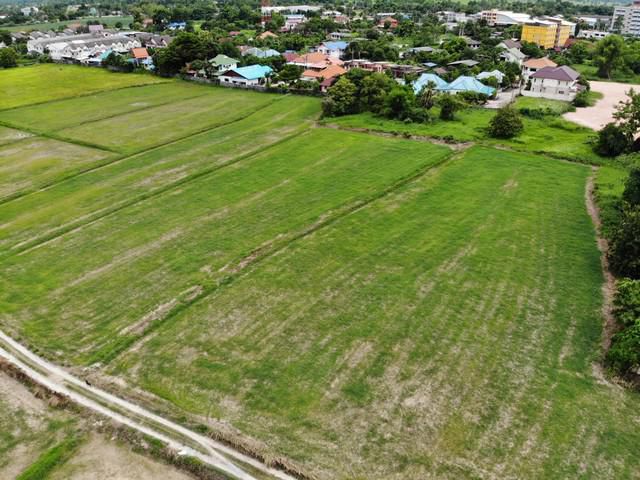 ขายที่ดินเมืองนครนายก 22. 5 ไร่ ใกล้ถนนสุวรรณศร 33 เพียง 600 เมตร จ. นครนายก