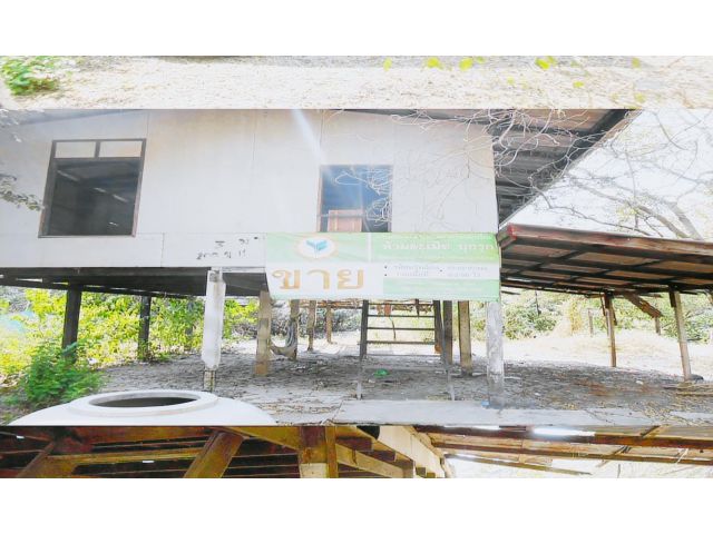 KK02-07344 ขายบ้านเดี่ยว : เขตคลองสามวา