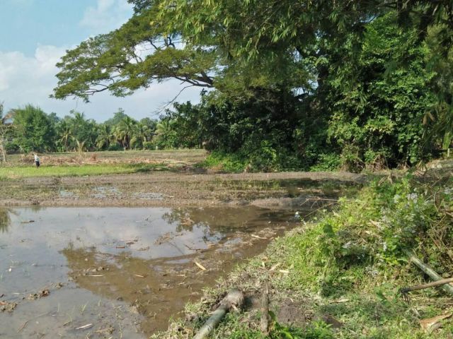 ที่นาติดลำเหมือง ไฟฟ้า ประปาถึง