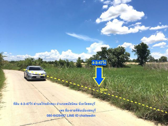 ###ขายที่ดินพนัสนิคม ใกล้สำนักงานที่ดิน เนื้อที่ 4-3-47ไร่###