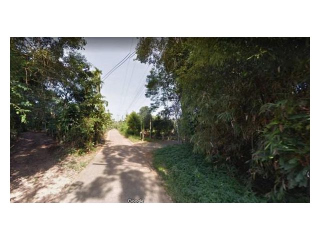 sss277 ขายที่ดิน  ถนนพัฒนาปลายคลอง วังกระแจะ ตราด