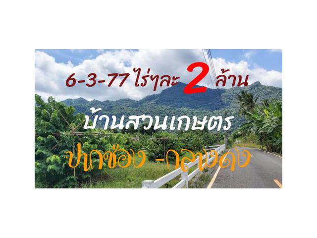 ที่ดินสวนเกษตรปากช่อง-กลางดง 6-3-77ไร่ ใกล้วัดพระขาวกลางดง พร้อมบ้านสวน สาธารณูปโภคพร้อม