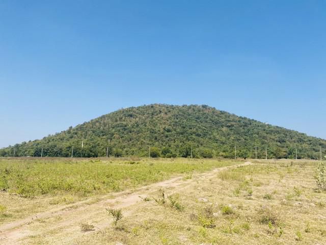 ขายด่วน ที่ดิน ทำเลดี ทิวทัศน์สวย ห้วยกระเจา
